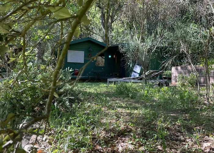 Chalet Avec Piscine Privee Dans La Foret
