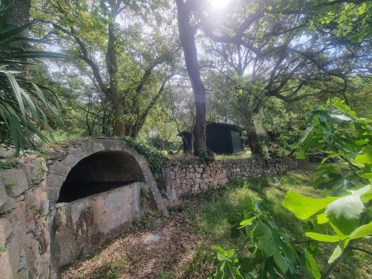 Avec Piscine Privee Dans La Foret Bagnols-en-Forêt