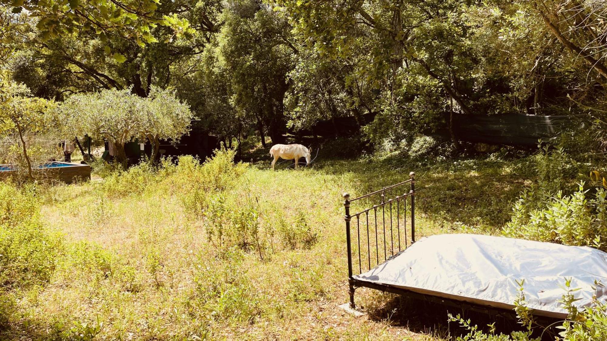 Chalet Avec Piscine Privee Dans La Foret *