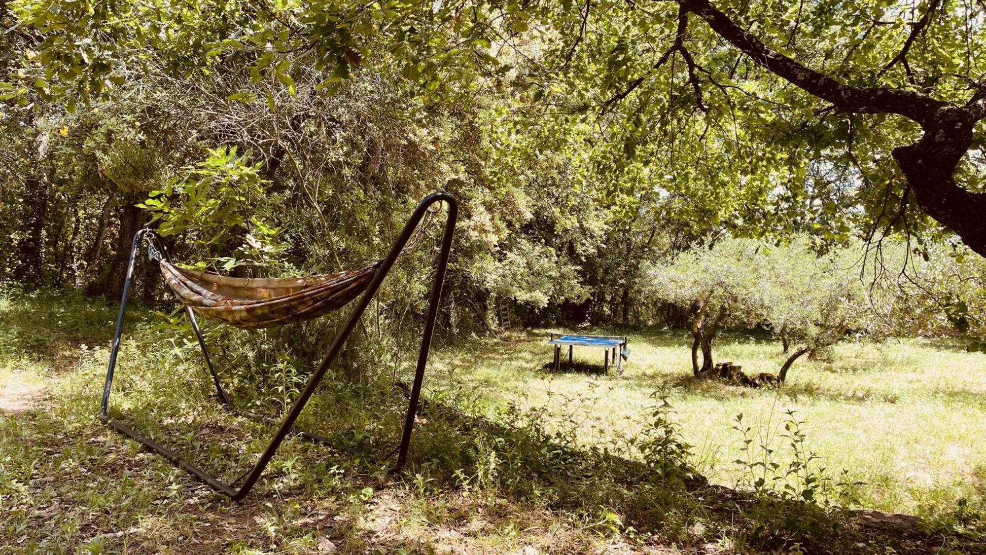 Avec Piscine Privee Dans La Foret Chalé