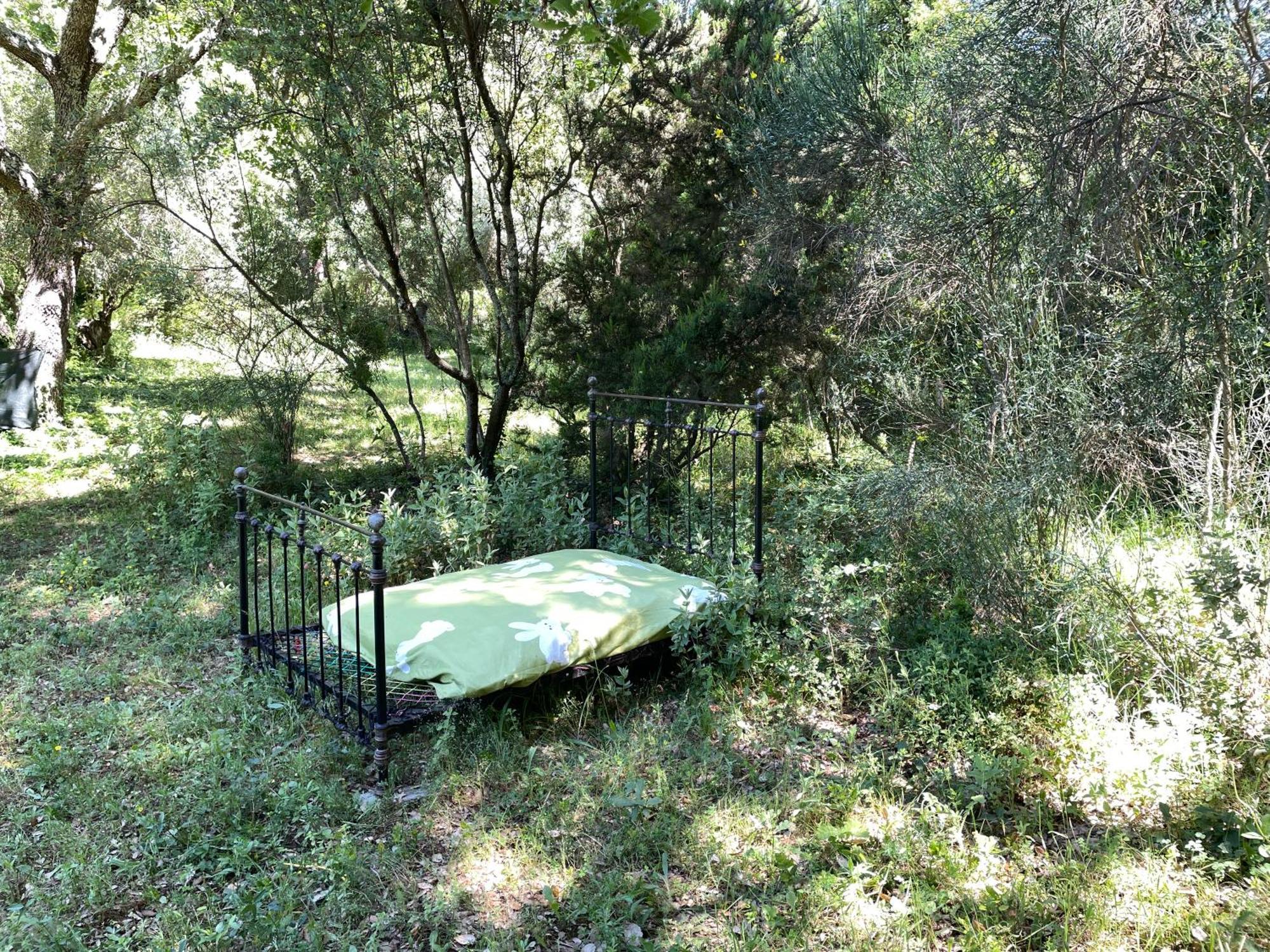 Avec Piscine Privee Dans La Foret * Bagnols-en-Foret
